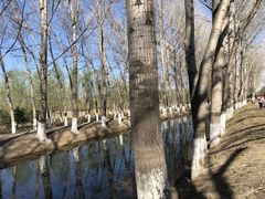 -东郊湿地公园