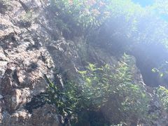 -帽儿山风景区