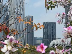 -深圳人才公园
