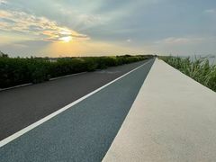 -大湾区中央湿地公园-十九涌