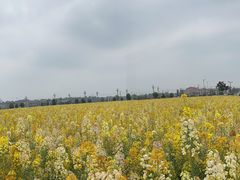 -中国天府农业博览园