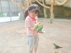-昆明动物园