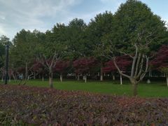 -辛亥革命博物院北区