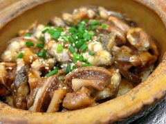 -红星光发煲仔饭(大石街店)