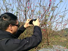 -南国桃园旅游度假区