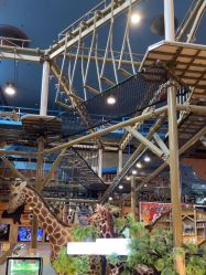 -卡通尼·Safari非洲探索乐园·生日会(金桥国际商业广场店)