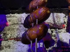-黑门烤肉