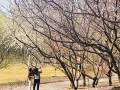 -中央广播电视总台(光华路办公区)