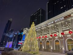 -斯卡拉演艺集团