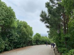 -雨花胜境