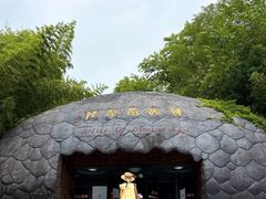 -中国西峡恐龙遗迹园