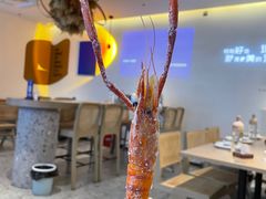 -隅乐胡椒虾·台湾菜·团建(皇岗店)