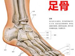 -广州中医药大学第一附属医院(总院)