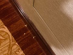-宁波香格里拉大酒店