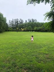 -大望京儿童游乐场