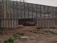 -新疆天山野生动物园
