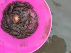 -南汇新城海滩