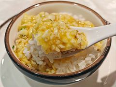 -丁老爷子苏香圆