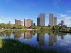 -西海子公园