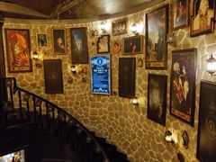 -雪灵魔法世界SHELLY’S TAROT(大良桂畔里店)