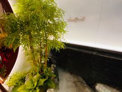 -鸽子侯·家宴·平价海鲜(市图书馆店)