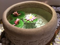 -昆明柏联SPA温泉