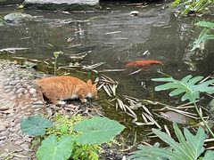 -广州兰圃