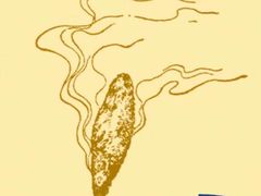 -上海市黄浦区香山中医医院