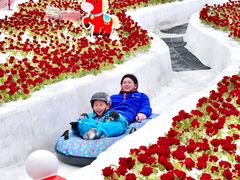 -广州热雪奇迹