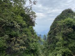 -峨眉山风景名胜区