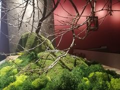 -麻路成都火锅(柏威年店)