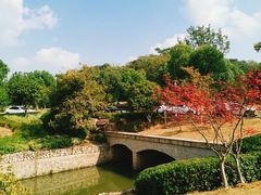 -羊山湖公园