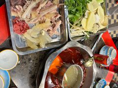 -金鼎雪山牦牛杂火锅(理县总店)