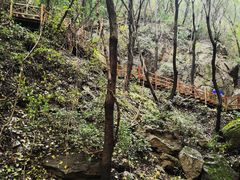-大岭沟猕猴桃谷风景区