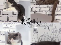 -白夜2D咖啡馆