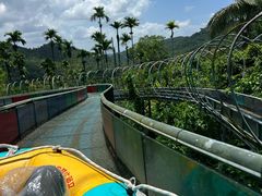 -海南槟榔谷黎苗文化旅游区