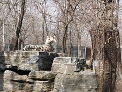 -秦皇岛野生动物园
