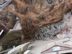 -陕西省红河谷森林公园