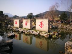 -香雪海