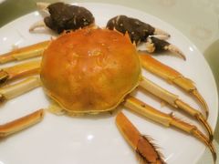 -王宝和酒家(黄浦店)