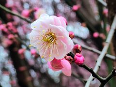 -渭河城市绿地运动公园