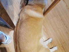 -阿木舂记·特色小吃(平江路店)