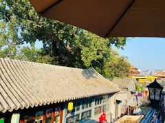 -Sirena海妖日咖夜酒