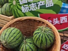 -鹏欣水游城