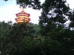 -浙江西子宾馆·牡丹厅