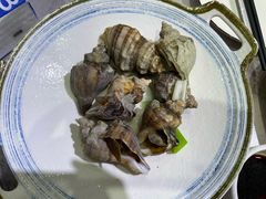 -小海丁