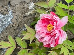 -太阳宫公园