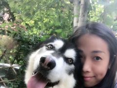 -彩虹桥宠物火化殡葬善终服务(金乐大厦店)