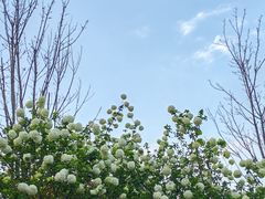 -大龙山(地铁站)