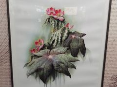 -四川大学博物馆